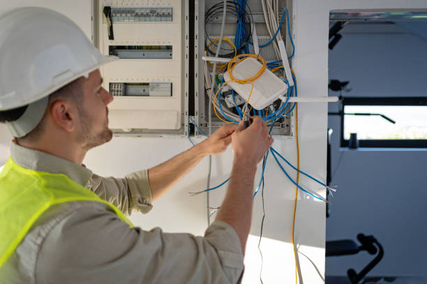 Best Electric Panel Repair  in Dranesville, VA